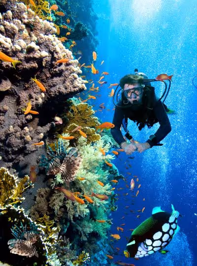 Buceo Actividades Buceo Actividades